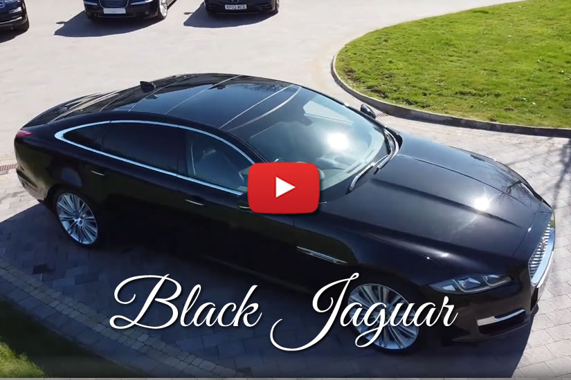 Black Jaguar