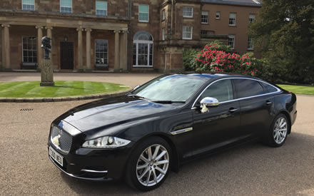 Jaguars
