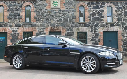 Jaguar image 12