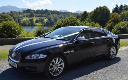 Jaguar image 13