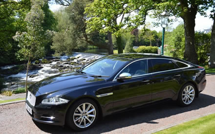 Jaguar image 15
