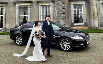 Jaguar image 22