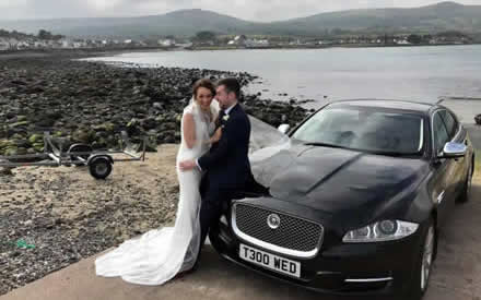 Jaguar image 27