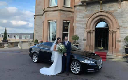 Jaguar image 28