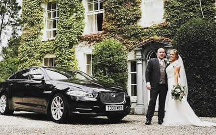 Jaguar image 41